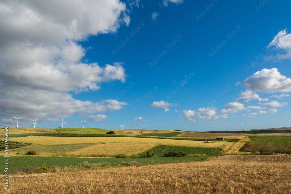 Panoramic view on yellow fields with ripe hard wheat, grano duro, Sicily, Italy