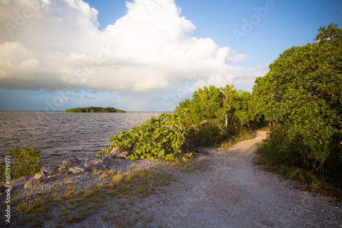 Fototapeta Naklejka Na Ścianę i Meble -  Mangrove Path View in the Florida Keys