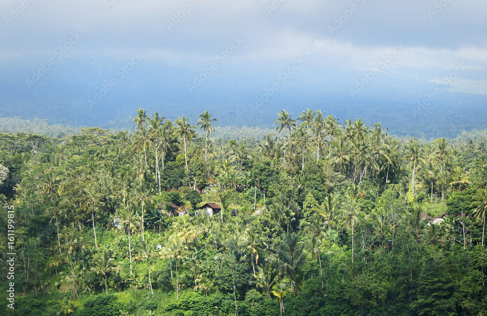 A tropical jungle with small village houses and misty clouds on the background, Karangasem region of Bali island, Indonesia, November 2016