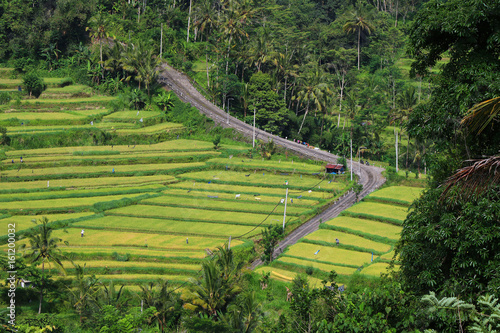 Picturesque view of a high slope narrow road with a tropical jungle and green rice field terraces around, Karangasem region of Bali island, Indonesia, November 2016
