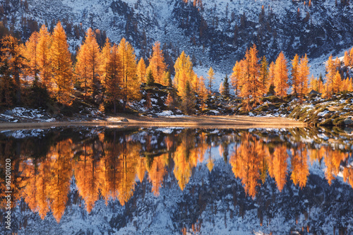 Italy, Trentino-Alto Adige, Trento district, Val Rendena