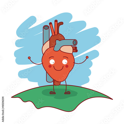 colorful scene in grass with silhouette caricature circulatory system with heart vector illustration