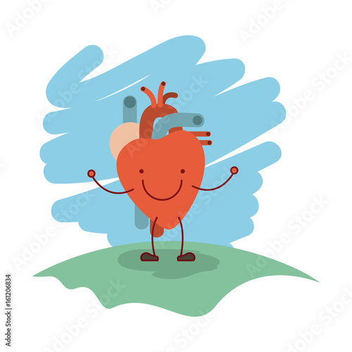 colorful scene in grass with silhouette caricature happy face heart system human body vector illustration