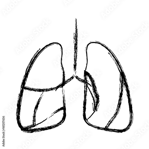 blurred hand drawing contour respiratory system vector illustration © grgroup