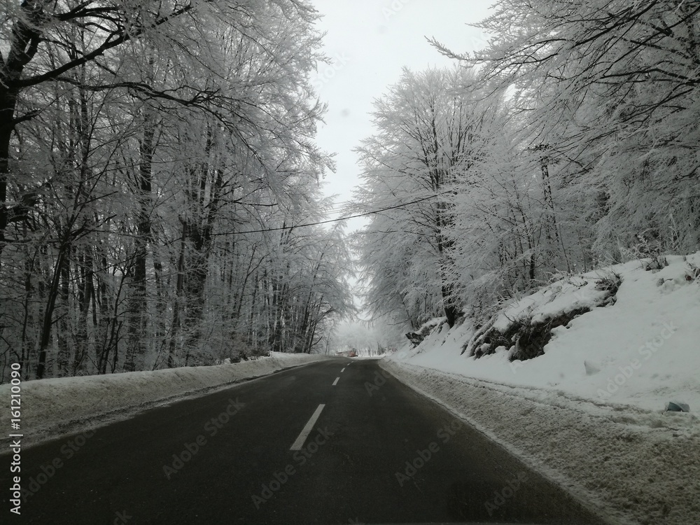 Obraz premium Winter landscape