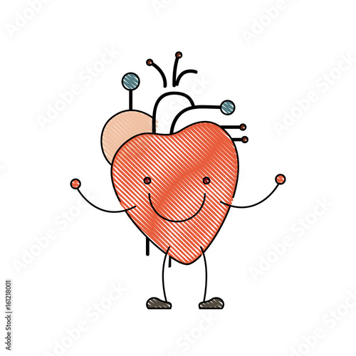 color crayon silhouette caricature with happy face circulatory system with heart vector illustration