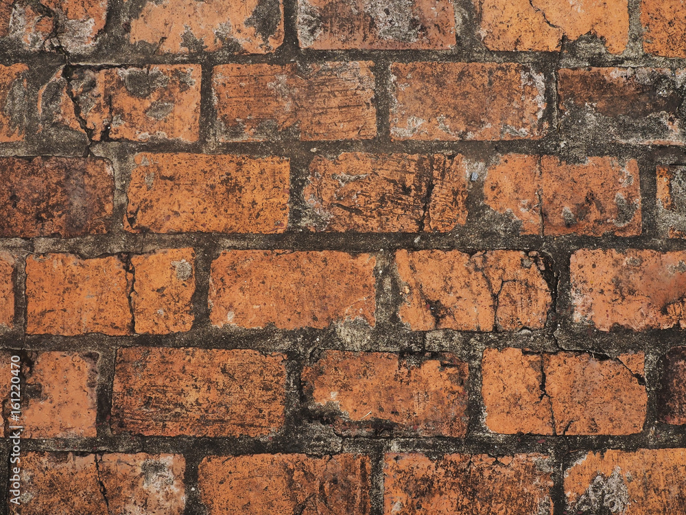 Obraz premium Old brick wall background