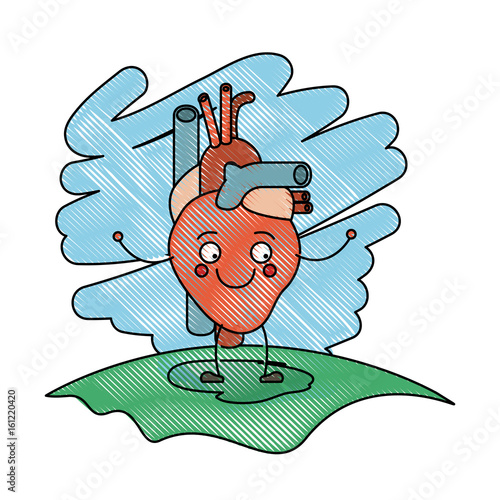 color crayon scene in grass with silhouette caricature circulatory system with heart vector illustration