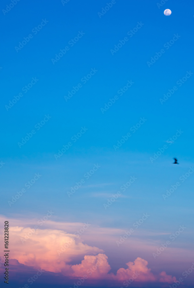 Fototapeta premium Pink clouds and sunset sky over sea