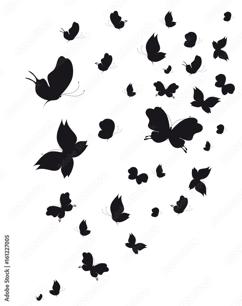 Naklejka premium black butterfly, isolated on a white