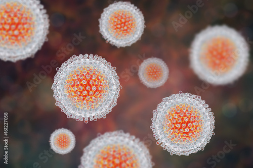 Hepatitis C virus model, 3D illustration. A virus consists of a protein coat, capsid, surrounding RNA and outer lipoprotein envelope with two types of glycoprotein spikes, E1 and E2 photo