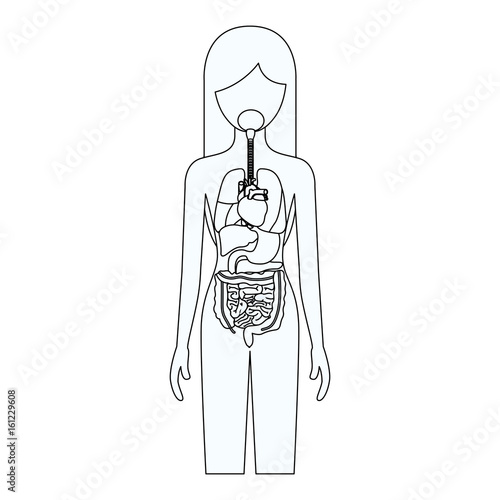 sketch silhouette of female person with internal organs system of human body vector illustration