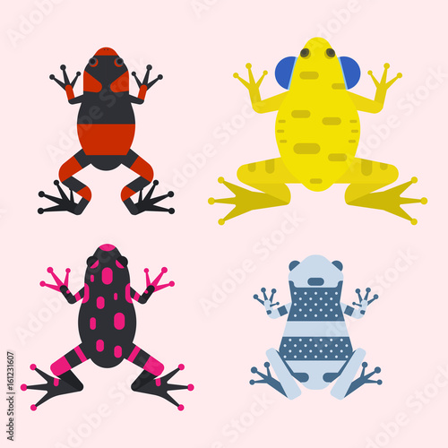 Frog cartoon tropical animal cartoon amphibian mascot character wild vector illustration.