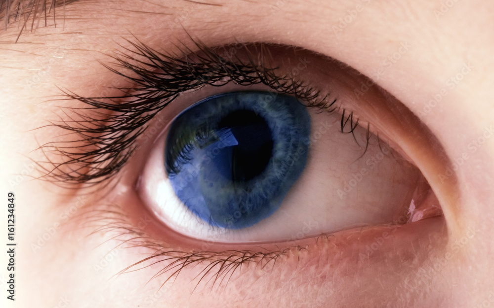 human eye blue human eye blue