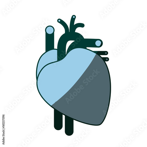 blue color shading silhouette heart system human body vector illustration