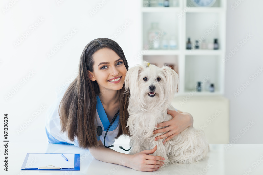 Beautiful smiling veterinarian doctor and cute white dog Beautiful smiling veterinarian doctor and cute white dog