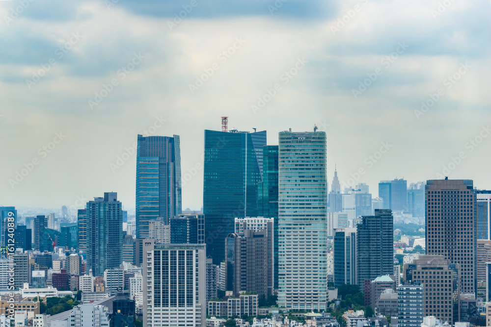 Fototapeta premium 東京の都市風景