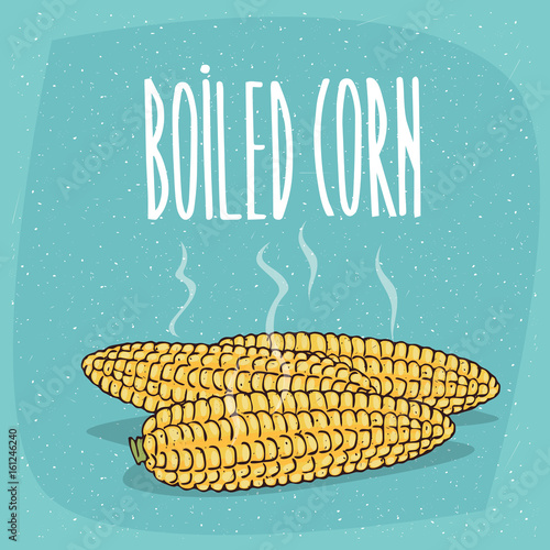 Group of several ripe whole vegetable fruits, cooked corn ears without leaves with hot steam. Isolated blue background. Realistic hand draw style. Lettering Boiled corn