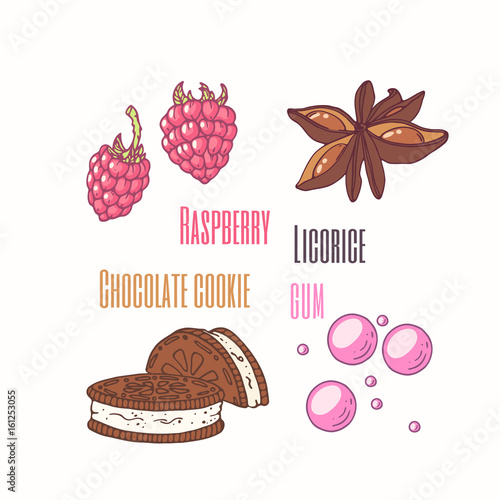 Set of sweet toppings anise, raspberry, chocolate cookie and bubble gum. Hand drawn food