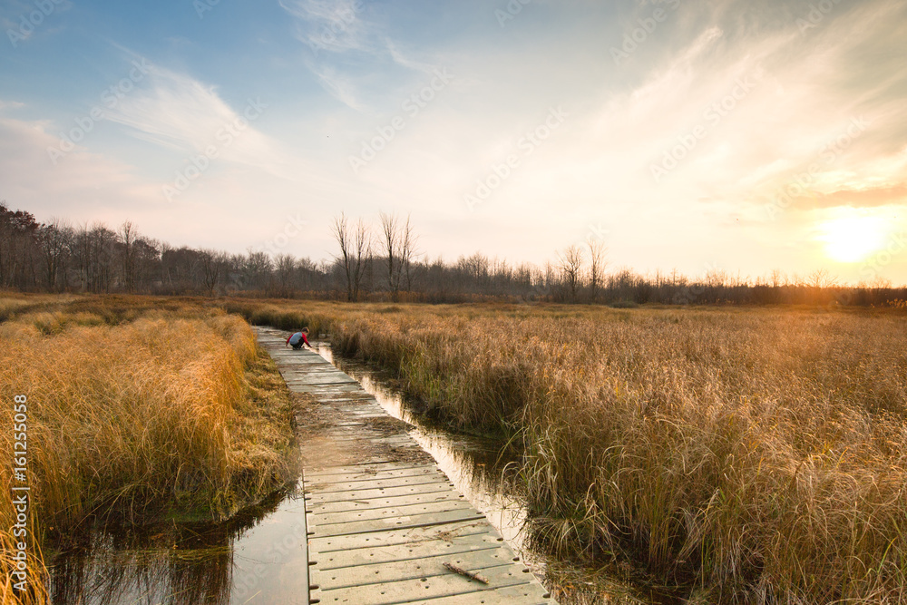Boy crouching on boardwalk pathway through nature reserve Boy crouching on boardwalk pathway through nature reserve