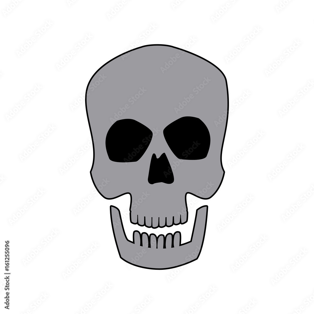 human skull male medical biology science vector illustration