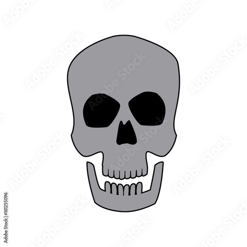 human skull male medical biology science vector illustration
