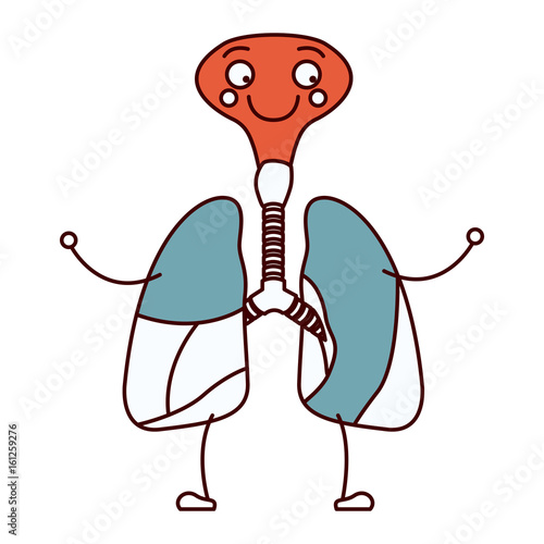 color sections silhouette caricature respiratory system with windpipe vector illustration