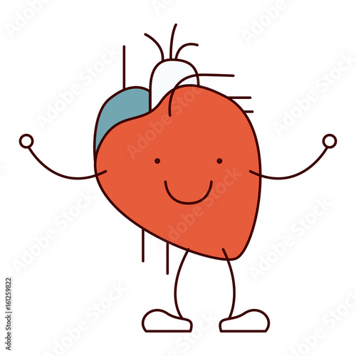color sections hand drawing contour caricature circulatory system with heart vector illustration