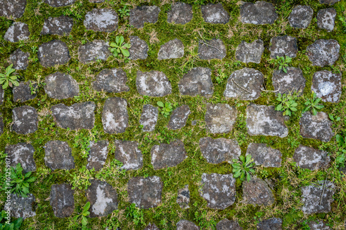 Ancient stone floor pattern with green grass as background in Rome, Italy