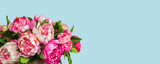 Bouquet of peony flowers in vase on blue background with space for text.