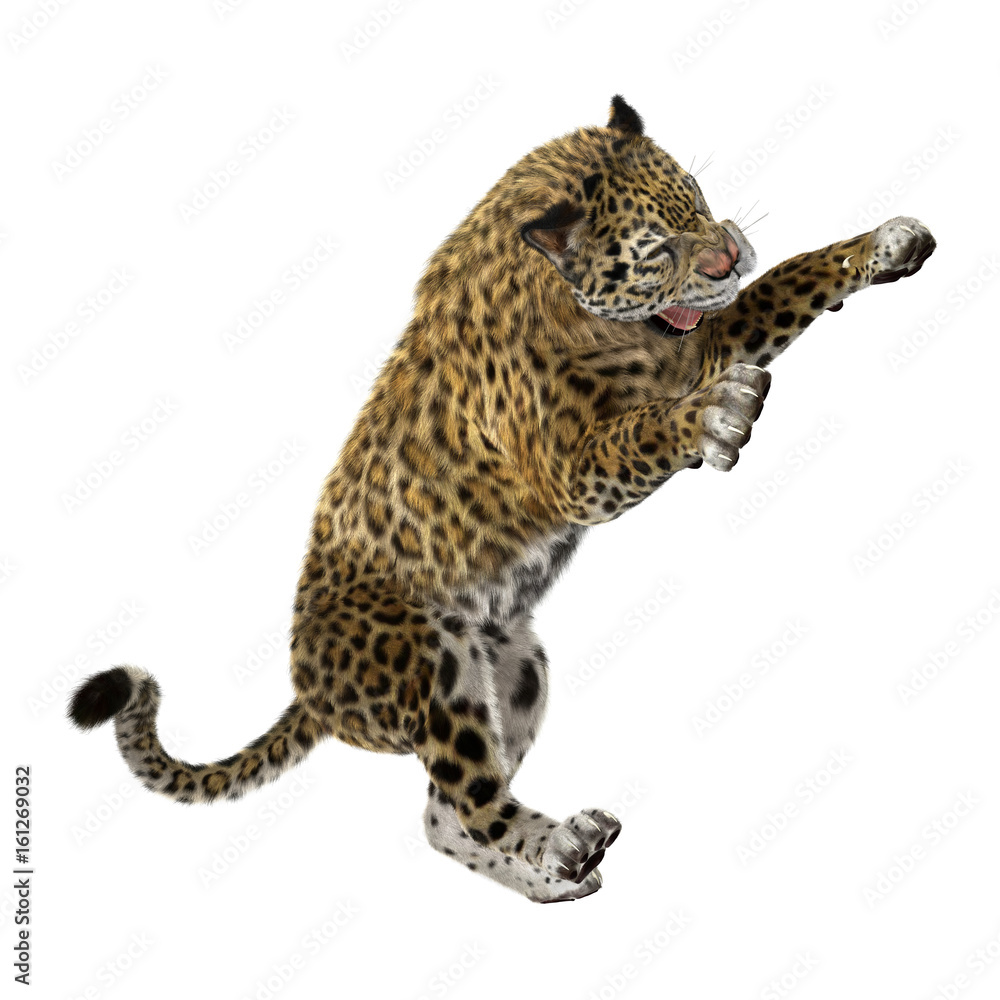 Naklejka premium 3D Rendering Big Cat Jaguar on White