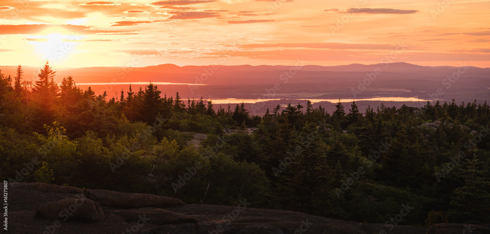 Fototapeta premium Sunset over the pine forest in Acadia National Park