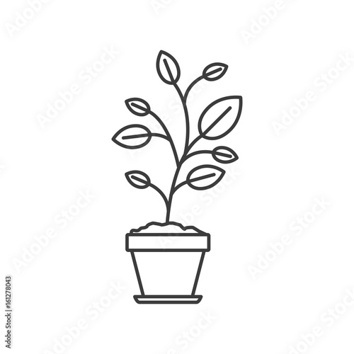 monochrome silhouette of plant in flower pot vector illustration