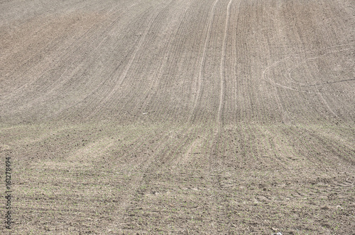 plowed field