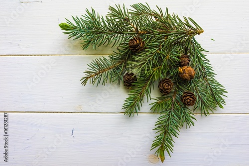Branch of Christmas tree an...