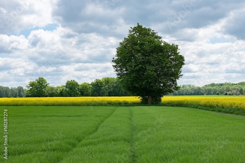 Landschaft