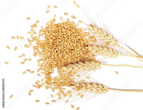 Ears of wheat and wheat grain on white background