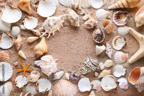 Seashells on the beach sand © 5second