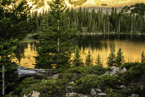 Gold mountain lake at sunset with evergreen reflections