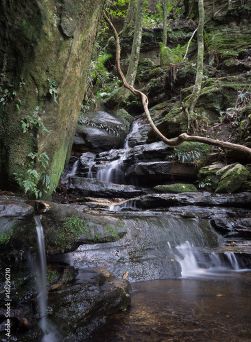 Hidden falls in the Rainy Forest  Blue Mountains  Australia.