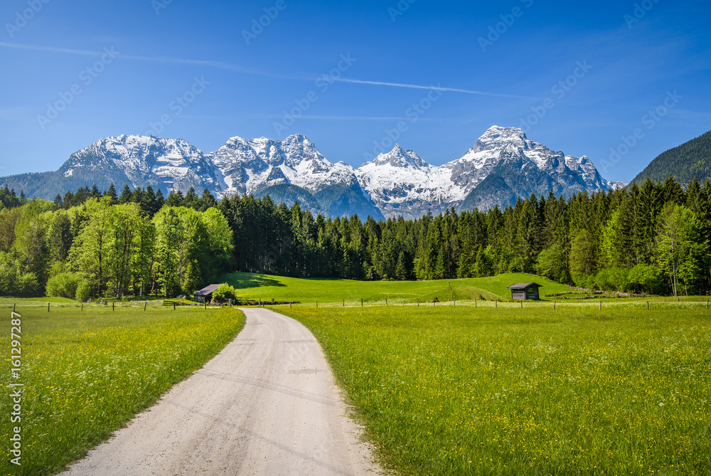 Idyllic alpine landscape, blooming meadow with snow-covered peaks in the background, Salzburger Land, Austria - obrazy, fototapety, plakaty 