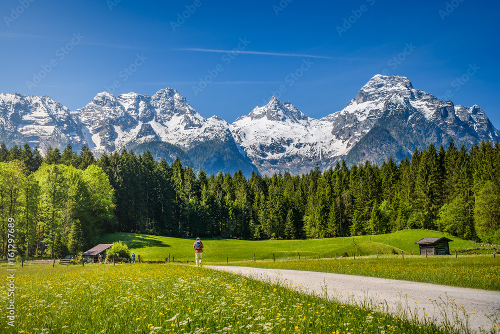 Fototapeta premium Hiker on path, idyllic alpine landscape, blooming meadow with snow-covered peaks in the background, Salzburger Land, Austria