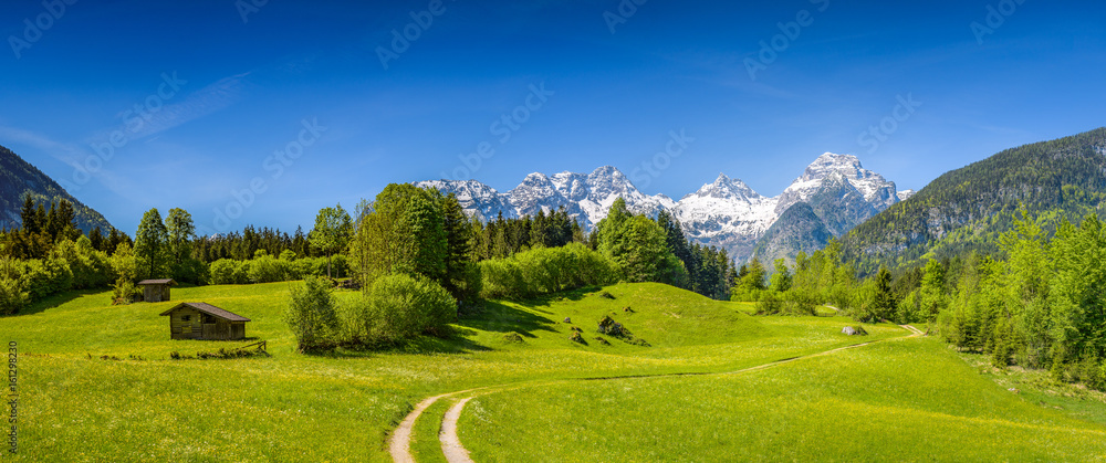 Obraz premium Scenic alpine landscape, blooming meadow with snow-covered peaks in the background, Salzburger Land, Austria