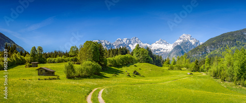 Fototapeta Naklejka Na Ścianę i Meble -  Scenic alpine landscape, blooming meadow with snow-covered peaks in the background, Salzburger Land, Austria
