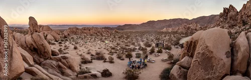 Obraz Joshua Tree o zachodzie słońca