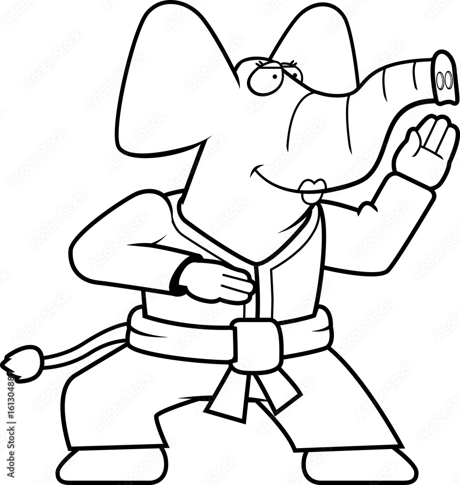 Karate Elephant