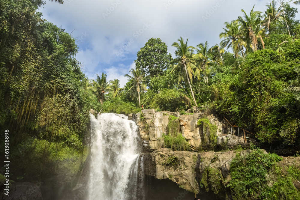 Naklejka premium Waterfall in the jungle