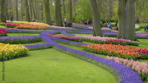 934_View_of_the_landscape_colorful_flowers_in_the_flower_garden.mov