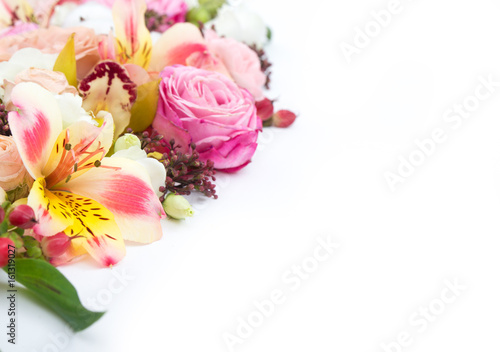 Elegant flowers on white background