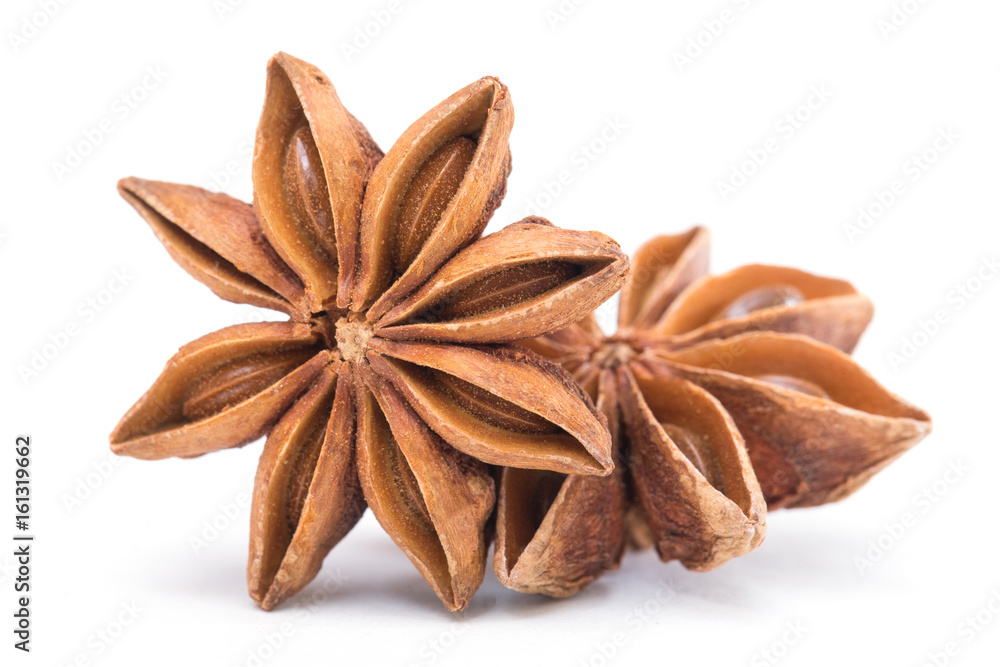 Star anise spice fruits and seeds isolated on white background closeup Star anise spice fruits and seeds isolated on white background closeup